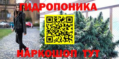 прущие крисы Тверь
