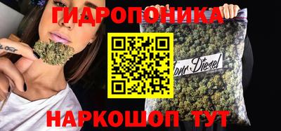 мяу мяу мука Татарск